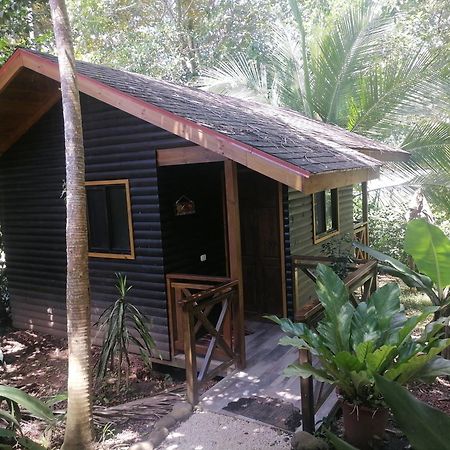 Casa El Colibri Bed & Breakfast Парита Стая снимка