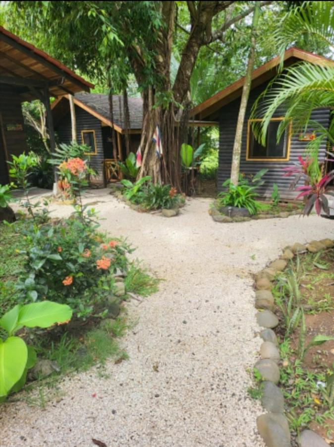Casa El Colibri Bed & Breakfast Парита Екстериор снимка