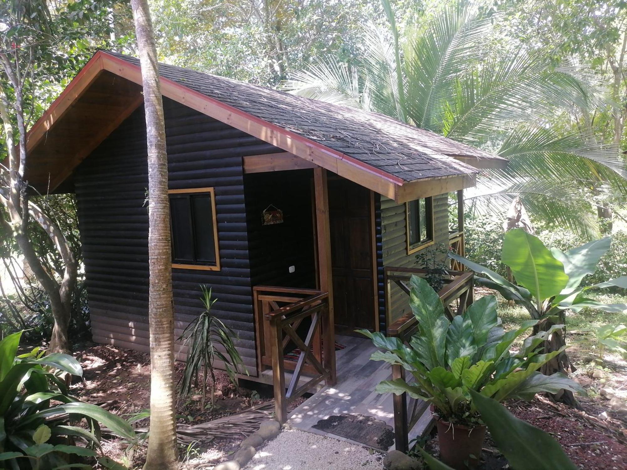 Casa El Colibri Bed & Breakfast Парита Стая снимка