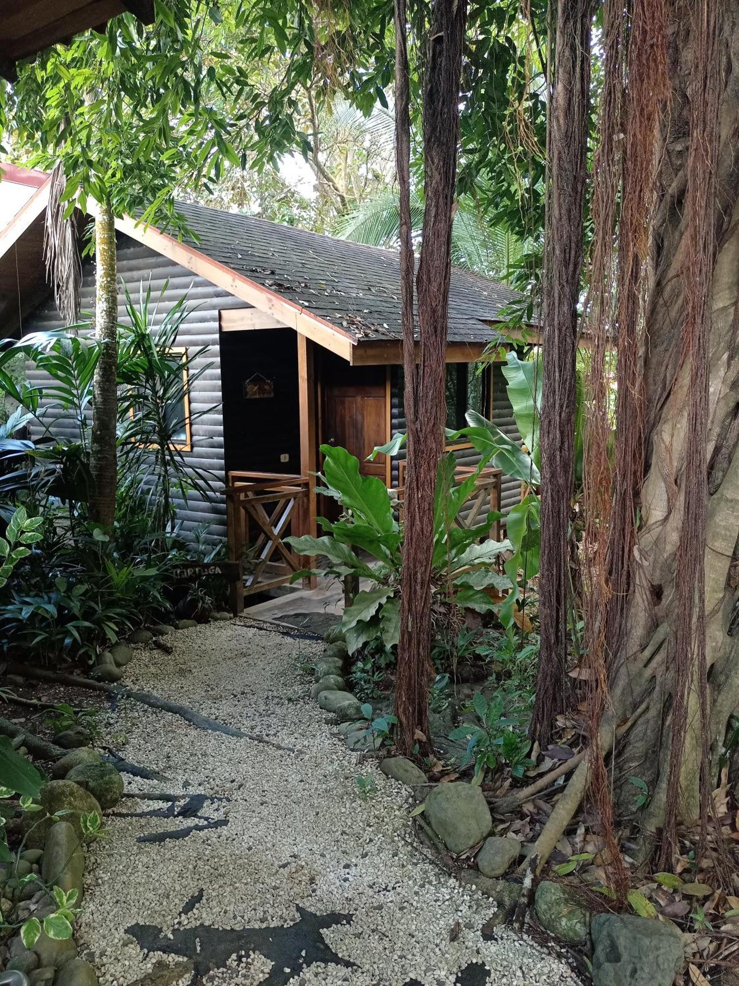 Casa El Colibri Bed & Breakfast Парита Екстериор снимка